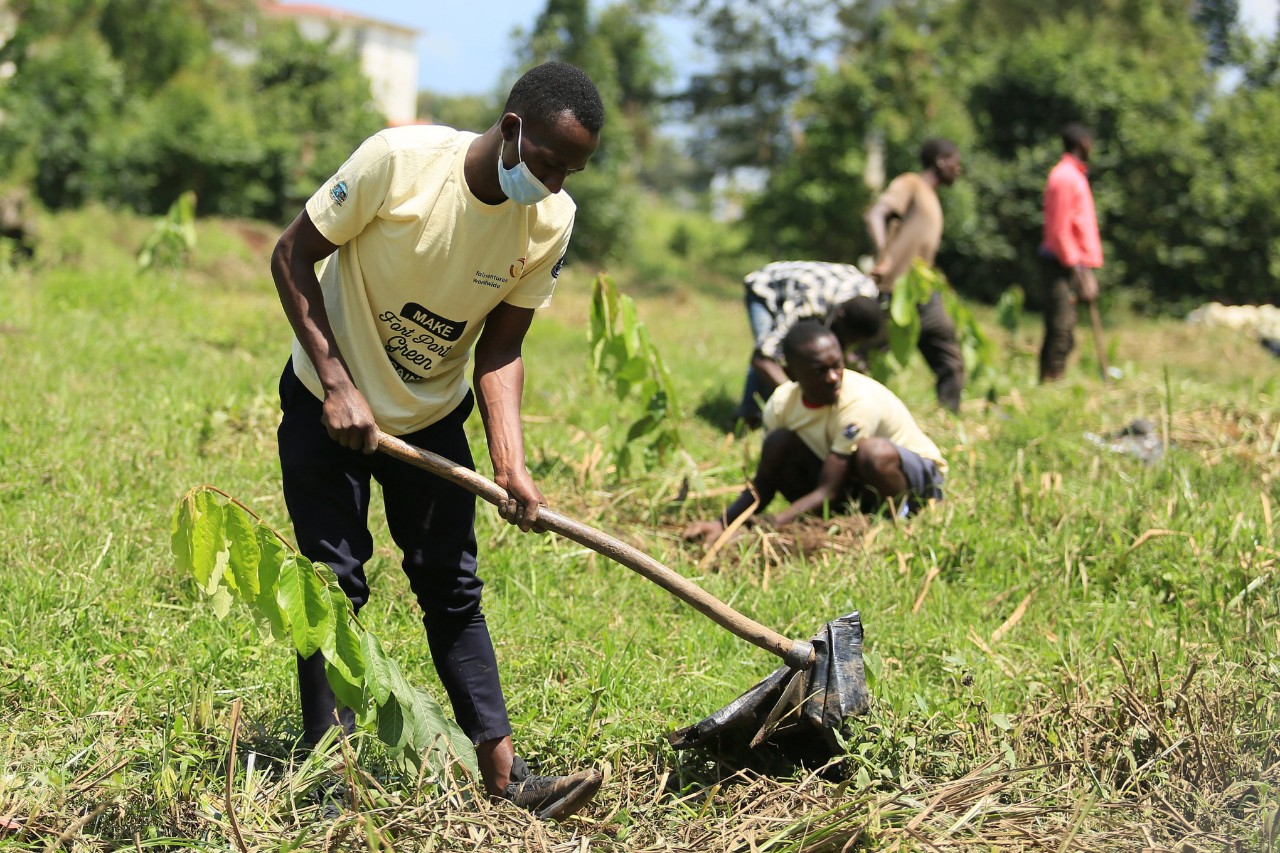 Projet climat STIHL en phase de plantation en Ouganda